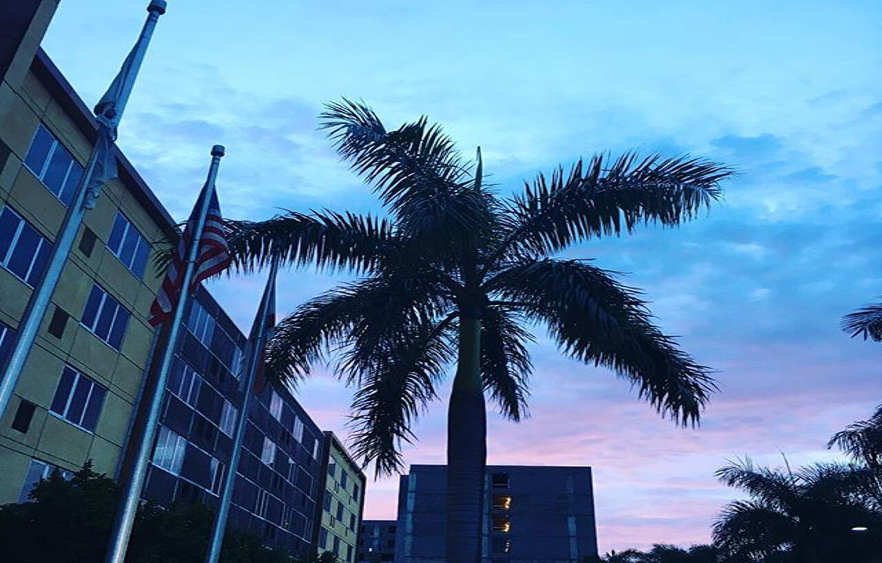 Готель Element Miami International Airport Miami Springs Екстер'єр фото